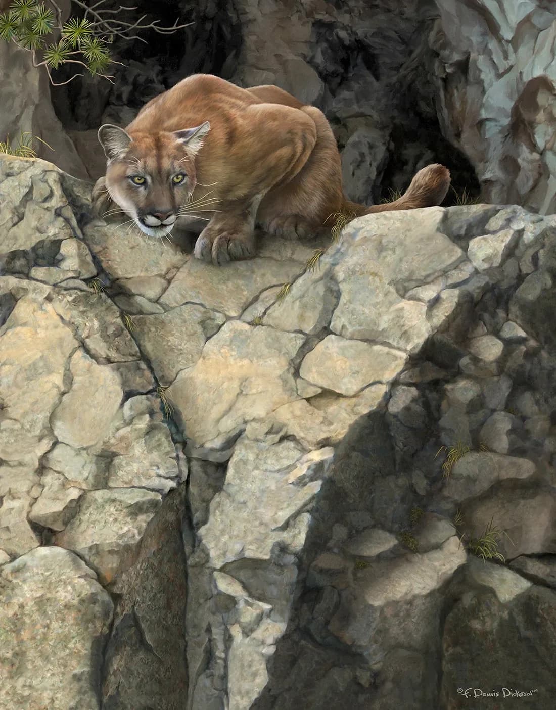 A mountain lion prowls across rocky terrain, rendered in photorealistic pastel.