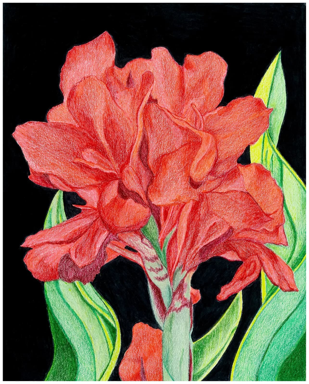 Artwork by Linda Greene